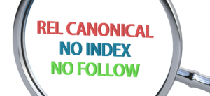 relcanonicalnoindexnofollow